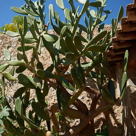 Jardin De Palme * La Palme