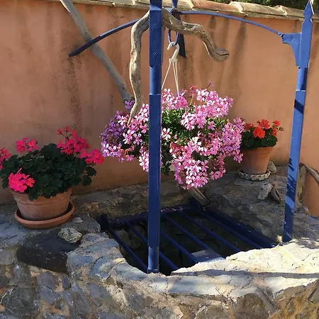 Apartment Jardin De Palme La Palme